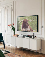 Longhorn Gaze I by Nathan Larson. shown as a framed stretched canvas in a living room above a console. Available as a archival giclee rolled canvas, fine art paper, or poster print. SKU 91371i.