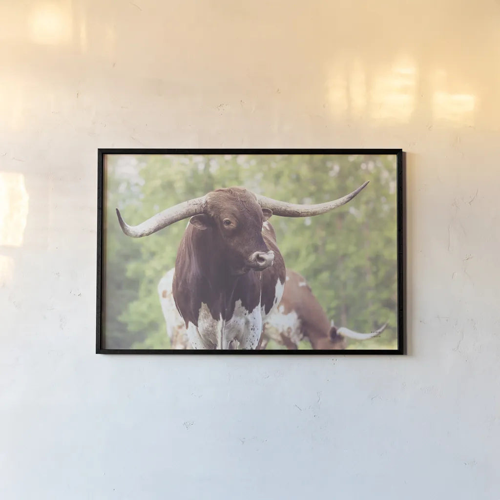 Longhorn Gaze I by Nathan Larson. shown as a paper print in a black flame. Available as a archival giclee rolled canvas, fine art paper, or poster print. SKU 91371i.