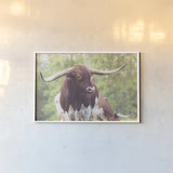 Longhorn Gaze I by Nathan Larson. shown as a paper print in a white frame. Available as a archival giclee rolled canvas, fine art paper, or poster print. SKU 91371i.
