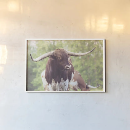 Longhorn Gaze I by Nathan Larson. shown as a paper print in a white frame. Available as a archival giclee rolled canvas, fine art paper, or poster print. SKU 91371i.