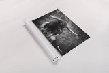 Longhorn Gaze I BW by Nathan Larson. shown as a rolled paper print. Available as archival giclee rolled canvas, fine art paper, or poster print. SKU 91372i.