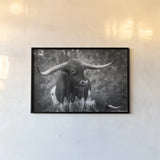 Longhorn Gaze I BW by Nathan Larson. shown as a paper print in a black flame. Available as a archival giclee rolled canvas, fine art paper, or poster print. SKU 91372i.