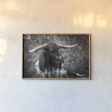 Longhorn Gaze I BW by Nathan Larson. shown as a paper print in a natural frame. Available as a archival giclee rolled canvas, fine art paper, or poster print. SKU 91372i.