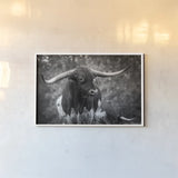 Longhorn Gaze I BW by Nathan Larson. shown as a paper print in a white frame. Available as a archival giclee rolled canvas, fine art paper, or poster print. SKU 91372i.