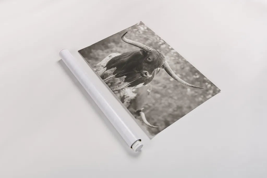 Longhorn Gaze I Sepia by Nathan Larson. shown as a rolled paper print. Available as archival giclee rolled canvas, fine art paper, or poster print. SKU 91533i.