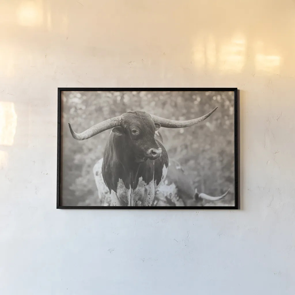 Longhorn Gaze I Sepia by Nathan Larson. shown as a paper print in a black flame. Available as a archival giclee rolled canvas, fine art paper, or poster print. SKU 91533i.