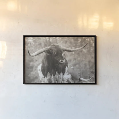 Longhorn Gaze I Sepia by Nathan Larson. shown as a paper print in a black flame. Available as a archival giclee rolled canvas, fine art paper, or poster print. SKU 91533i.