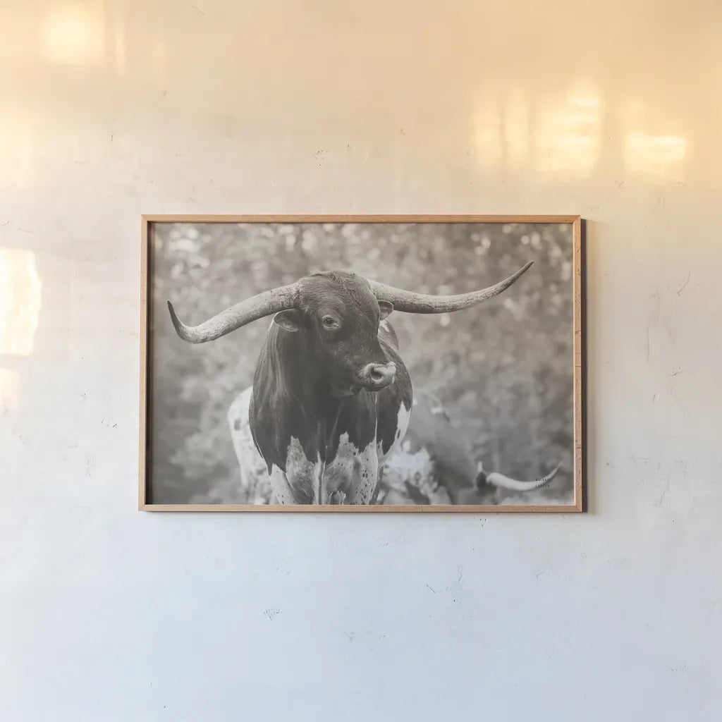 Longhorn Gaze I Sepia by Nathan Larson. shown as a paper print in a natural frame. Available as a archival giclee rolled canvas, fine art paper, or poster print. SKU 91533i.