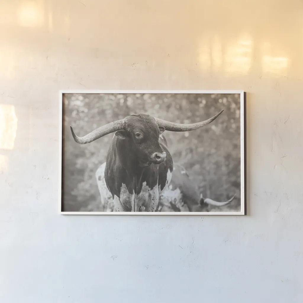 Longhorn Gaze I Sepia by Nathan Larson. shown as a paper print in a white frame. Available as a archival giclee rolled canvas, fine art paper, or poster print. SKU 91533i.