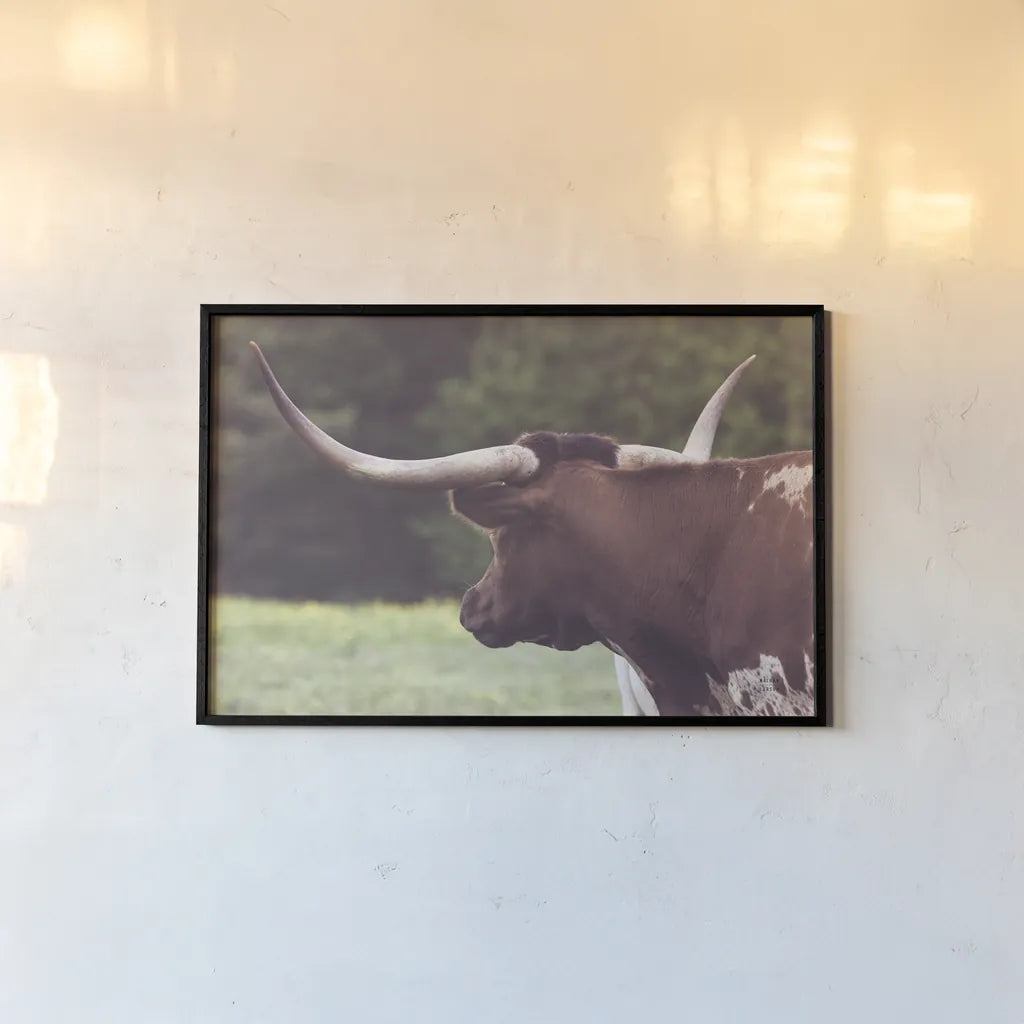 Longhorn Gaze II by Nathan Larson. shown as a paper print in a black flame. Available as a archival giclee rolled canvas, fine art paper, or poster print. SKU 91531i.