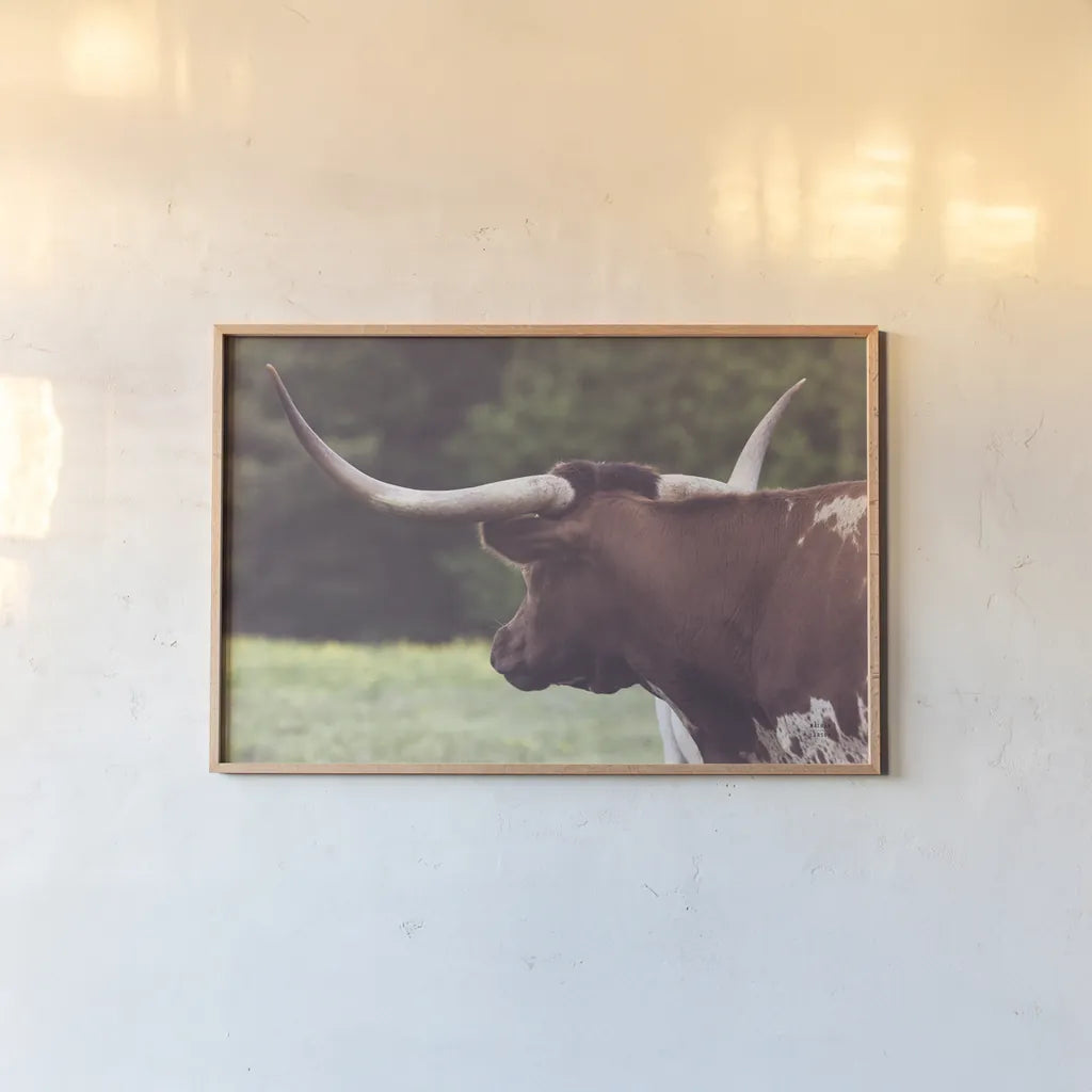 Longhorn Gaze II by Nathan Larson. shown as a paper print in a natural frame. Available as a archival giclee rolled canvas, fine art paper, or poster print. SKU 91531i.