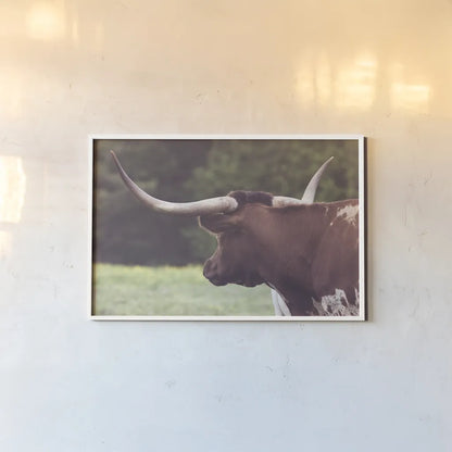 Longhorn Gaze II by Nathan Larson. shown as a paper print in a white frame. Available as a archival giclee rolled canvas, fine art paper, or poster print. SKU 91531i.