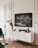 Longhorn Gaze II BW by Nathan Larson. shown as a framed stretched canvas in a living room above a console. Available as a archival giclee rolled canvas, fine art paper, or poster print. SKU 91532i.