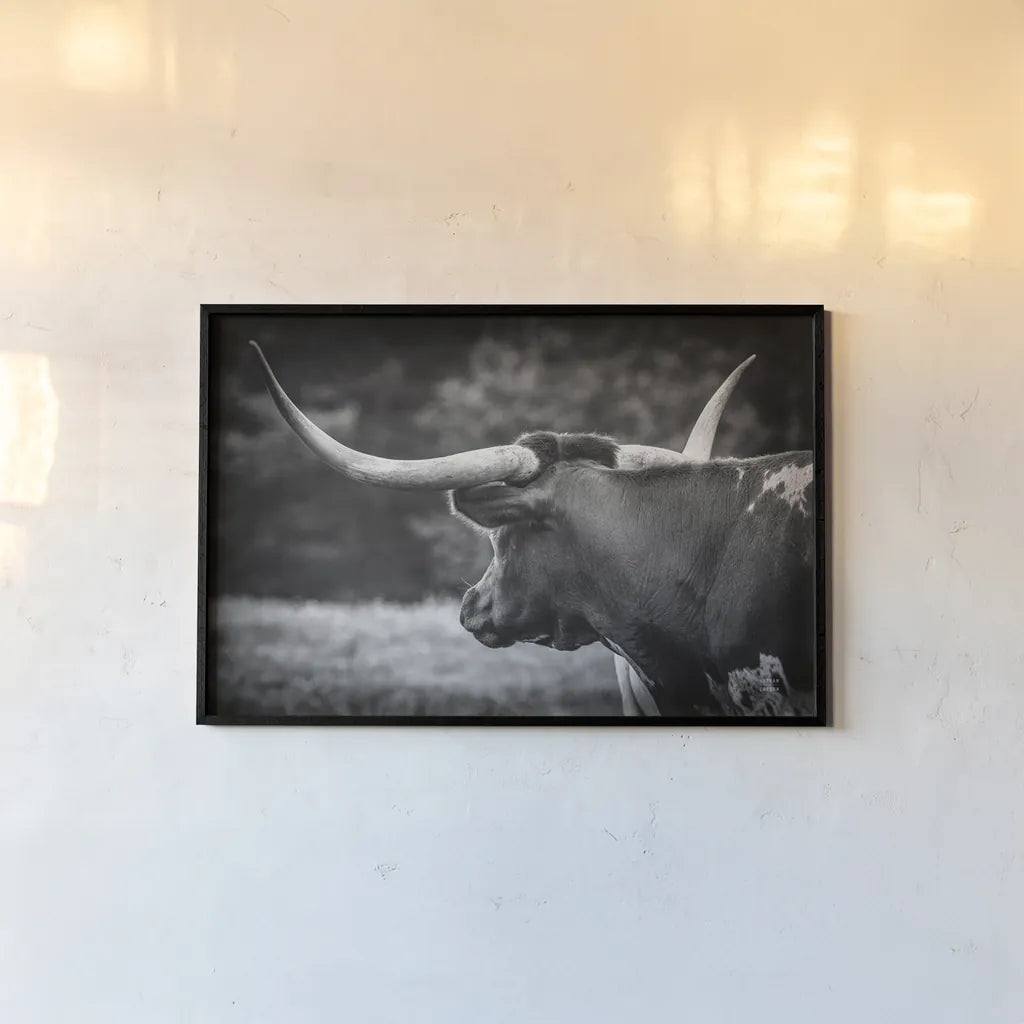 Longhorn Gaze II BW by Nathan Larson. shown as a paper print in a black flame. Available as a archival giclee rolled canvas, fine art paper, or poster print. SKU 91532i.