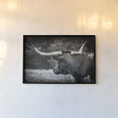 Longhorn Gaze II BW by Nathan Larson. shown as a paper print in a black flame. Available as a archival giclee rolled canvas, fine art paper, or poster print. SKU 91532i.
