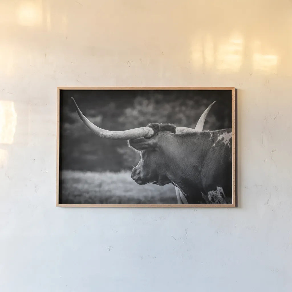 Longhorn Gaze II BW by Nathan Larson. shown as a paper print in a natural frame. Available as a archival giclee rolled canvas, fine art paper, or poster print. SKU 91532i.