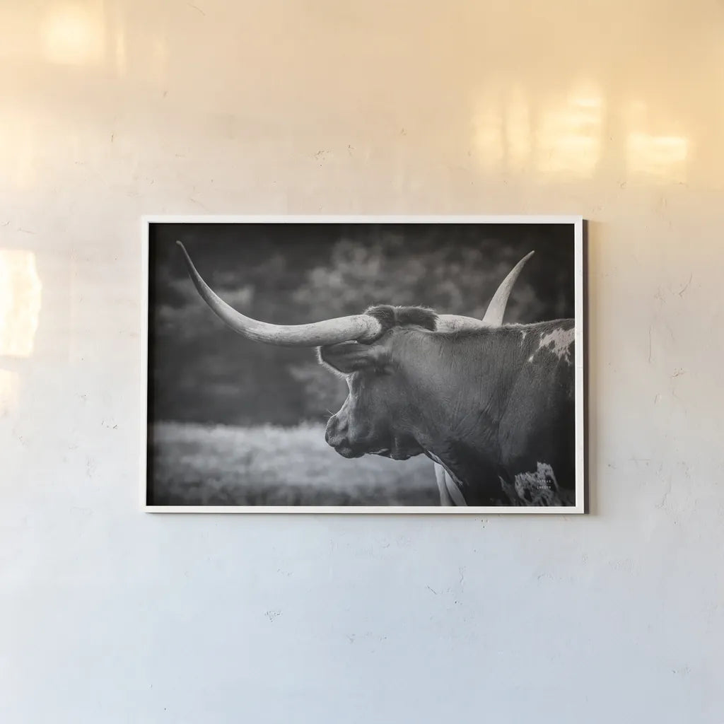 Longhorn Gaze II BW by Nathan Larson. shown as a paper print in a white frame. Available as a archival giclee rolled canvas, fine art paper, or poster print. SKU 91532i.