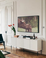 Longhorn Kiss by Nathan Larson. shown as a framed stretched canvas in a living room above a console. Available as a archival giclee rolled canvas, fine art paper, or poster print. SKU 91376i.