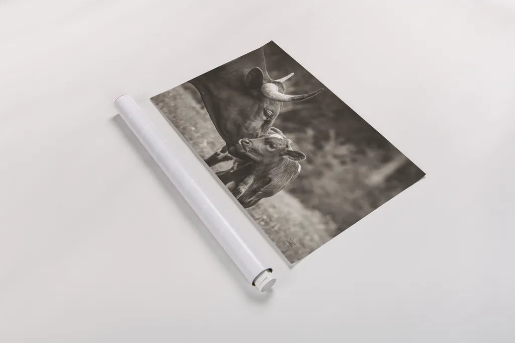 Longhorn Kiss Sepia by Nathan Larson. shown as a rolled paper print. Available as archival giclee rolled canvas, fine art paper, or poster print. SKU 91377i.