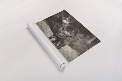 Longhorn Kiss Sepia by Nathan Larson. shown as a rolled paper print. Available as archival giclee rolled canvas, fine art paper, or poster print. SKU 91377i.