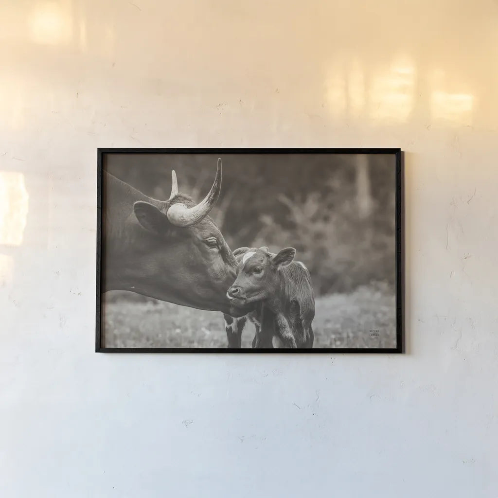 Longhorn Kiss Sepia by Nathan Larson. shown as a paper print in a black flame. Available as a archival giclee rolled canvas, fine art paper, or poster print. SKU 91377i.