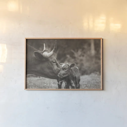 Longhorn Kiss Sepia by Nathan Larson. shown as a paper print in a natural frame. Available as a archival giclee rolled canvas, fine art paper, or poster print. SKU 91377i.