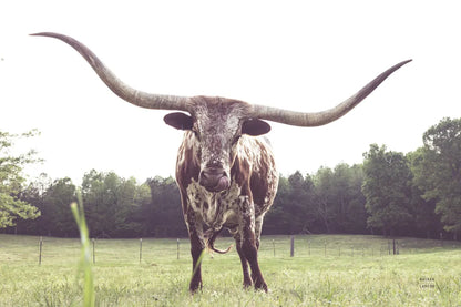 Longhorn Last Call by Nathan Larson. SKU 91367i. Archival Giclee Fine art print for wall decor.