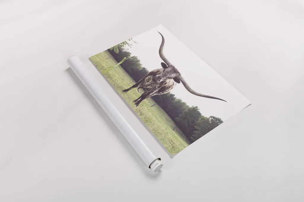 Longhorn Last Call by Nathan Larson. shown as a rolled paper print. Available as archival giclee rolled canvas, fine art paper, or poster print. SKU 91367i.