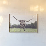 Longhorn Last Call by Nathan Larson. shown as a paper print in a white frame. Available as a archival giclee rolled canvas, fine art paper, or poster print. SKU 91367i.