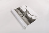 Longhorn Last Call BW by Nathan Larson. shown as a rolled paper print. Available as archival giclee rolled canvas, fine art paper, or poster print. SKU 91368i.