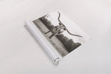 Longhorn Last Call BW No Tail by Nathan Larson. shown as a rolled paper print. Available as archival giclee rolled canvas, fine art paper, or poster print. SKU 91370i.