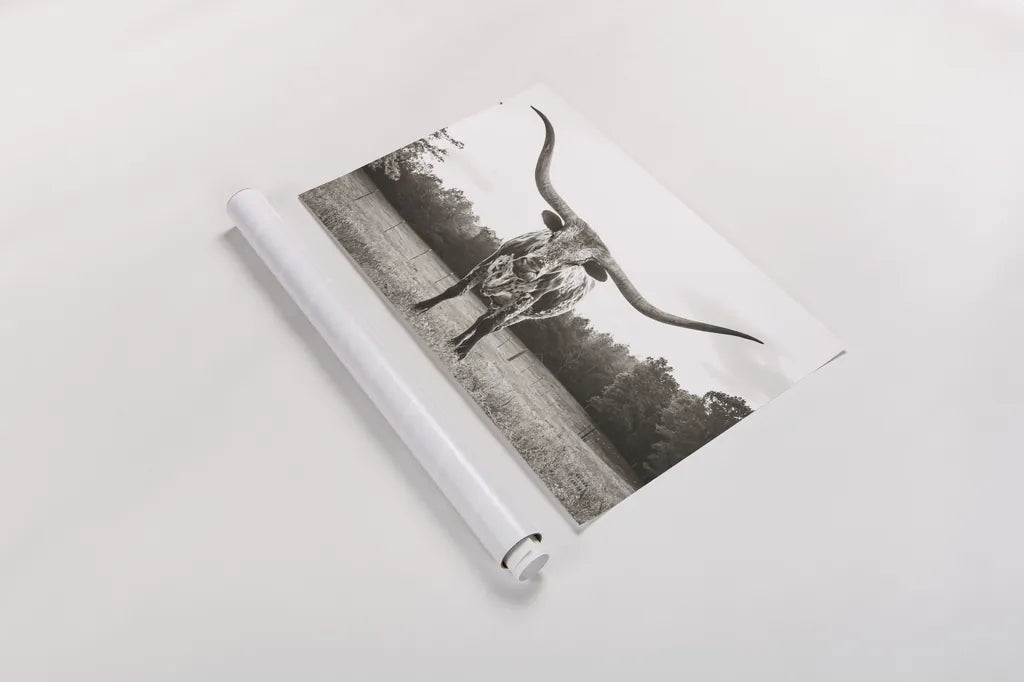Longhorn Last Call BW No Tail by Nathan Larson. shown as a rolled paper print. Available as archival giclee rolled canvas, fine art paper, or poster print. SKU 91370i.