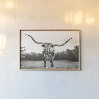 Longhorn Last Call BW No Tail by Nathan Larson. shown as a paper print in a natural frame. Available as a archival giclee rolled canvas, fine art paper, or poster print. SKU 91370i.