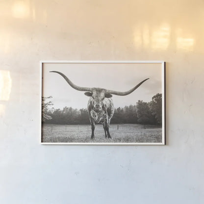 Longhorn Last Call BW No Tail by Nathan Larson. shown as a paper print in a white frame. Available as a archival giclee rolled canvas, fine art paper, or poster print. SKU 91370i.