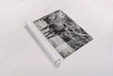 Longhorn Nosing Around by Nathan Larson. shown as a rolled paper print. Available as archival giclee rolled canvas, fine art paper, or poster print. SKU 93358i.