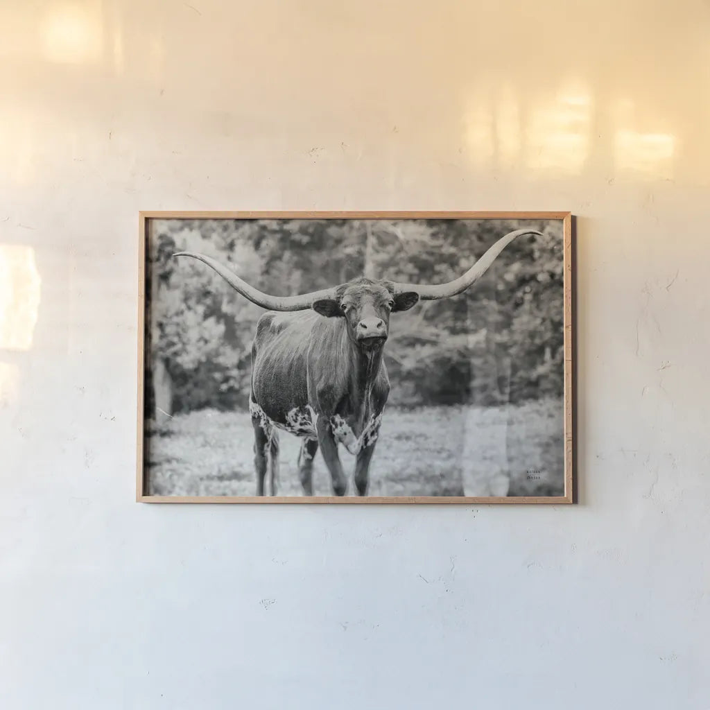 Longhorn Nosing Around by Nathan Larson. shown as a paper print in a natural frame. Available as a archival giclee rolled canvas, fine art paper, or poster print. SKU 93358i.