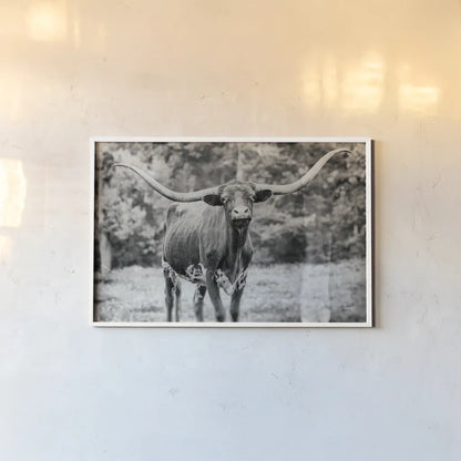 Longhorn Nosing Around by Nathan Larson. shown as a paper print in a white frame. Available as a archival giclee rolled canvas, fine art paper, or poster print. SKU 93358i.