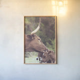 Longhorn Pair by Nathan Larson. shown as a paper print in a natural frame. Available as a archival giclee rolled canvas, fine art paper, or poster print. SKU 91374h.