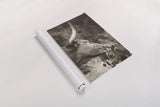 Longhorn Pair Sepia by Nathan Larson. shown as a rolled paper print. Available as archival giclee rolled canvas, fine art paper, or poster print. SKU 91375h.