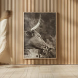 Longhorn Pair Sepia by Nathan Larson. shown as over sized large wall art. Available as an archival giclee rolled canvas, fine art paper, or poster print. SKU 91375h.
