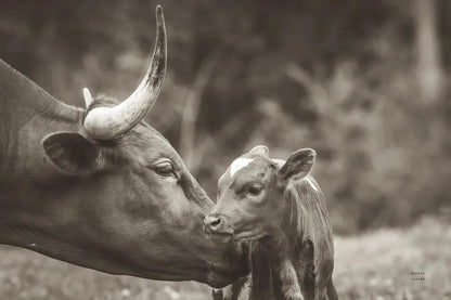 Longhorn Pairing Sepia by Nathan Larson. SKU 91900i. Archival Giclee Fine art print for wall decor.