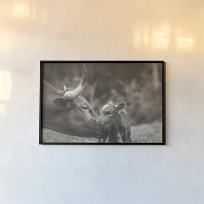 Longhorn Pairing Sepia by Nathan Larson. shown as a paper print in a black flame. Available as a archival giclee rolled canvas, fine art paper, or poster print. SKU 91900i.