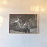 Longhorn Pairing Sepia by Nathan Larson. shown as a paper print in a natural frame. Available as a archival giclee rolled canvas, fine art paper, or poster print. SKU 91900i.