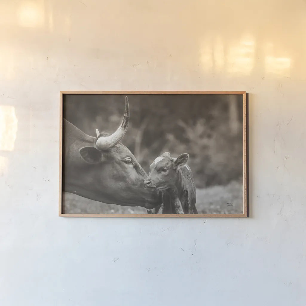 Longhorn Pairing Sepia by Nathan Larson. shown as a paper print in a natural frame. Available as a archival giclee rolled canvas, fine art paper, or poster print. SKU 91900i.