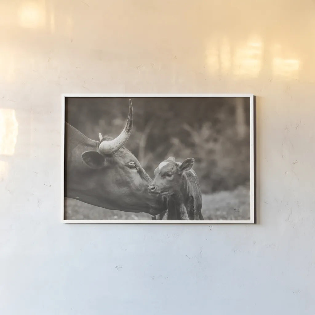 Longhorn Pairing Sepia by Nathan Larson. shown as a paper print in a white frame. Available as a archival giclee rolled canvas, fine art paper, or poster print. SKU 91900i.