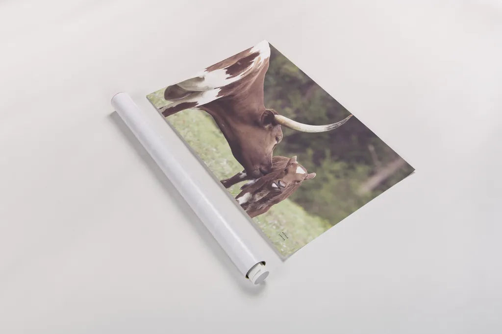 Longhorn Pasture Pair by Nathan Larson. shown as a rolled paper print. Available as archival giclee rolled canvas, fine art paper, or poster print. SKU 93356i.