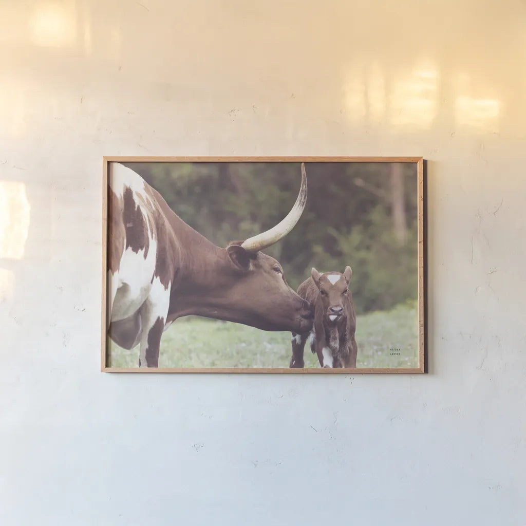 Longhorn Pasture Pair by Nathan Larson. shown as a paper print in a natural frame. Available as a archival giclee rolled canvas, fine art paper, or poster print. SKU 93356i.