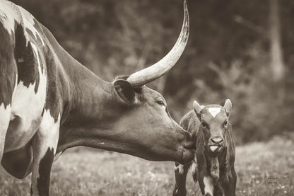 Longhorn Pasture Pair Sepia by Nathan Larson. SKU 93357i. Archival Giclee Fine art print for wall decor.