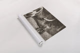 Longhorn Pasture Pair Sepia by Nathan Larson. shown as a rolled paper print. Available as archival giclee rolled canvas, fine art paper, or poster print. SKU 93357i.