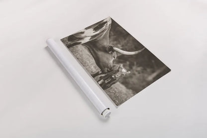 Longhorn Pasture Pair Sepia by Nathan Larson. shown as a rolled paper print. Available as archival giclee rolled canvas, fine art paper, or poster print. SKU 93357i.